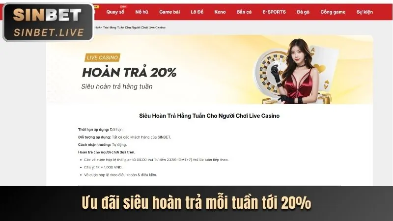 Các tính năng và trải nghiệm người dùng tại ae8vip